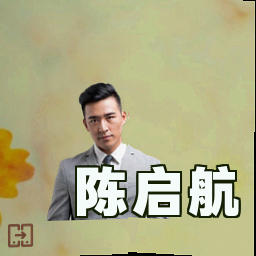 陈启航